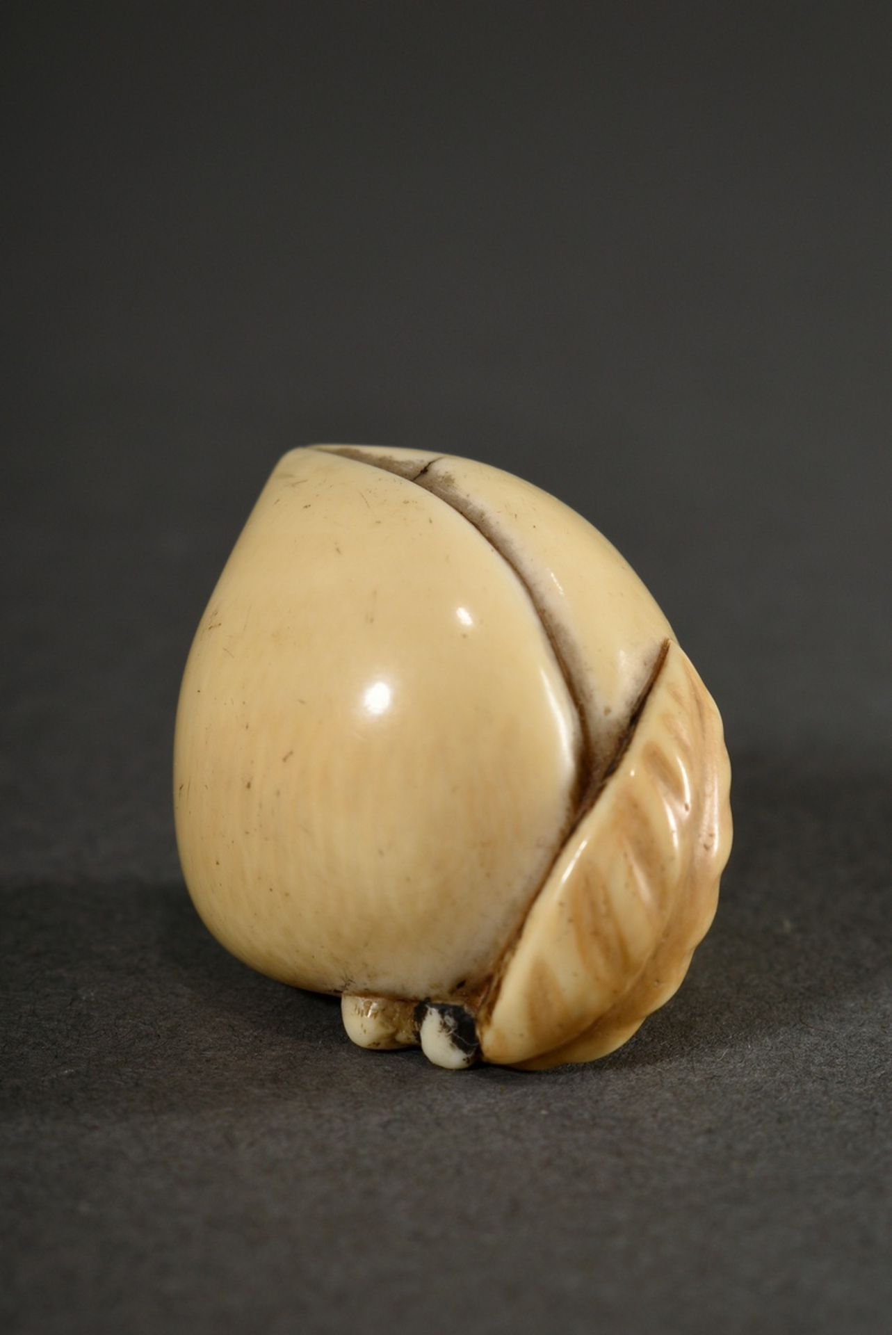 Ivory netsuke "Peach on branch with leaf", in cartouche sign. 蘭一 Ran'ichi, Japan 19th c., h. 2,4cm, - Image 2 of 5