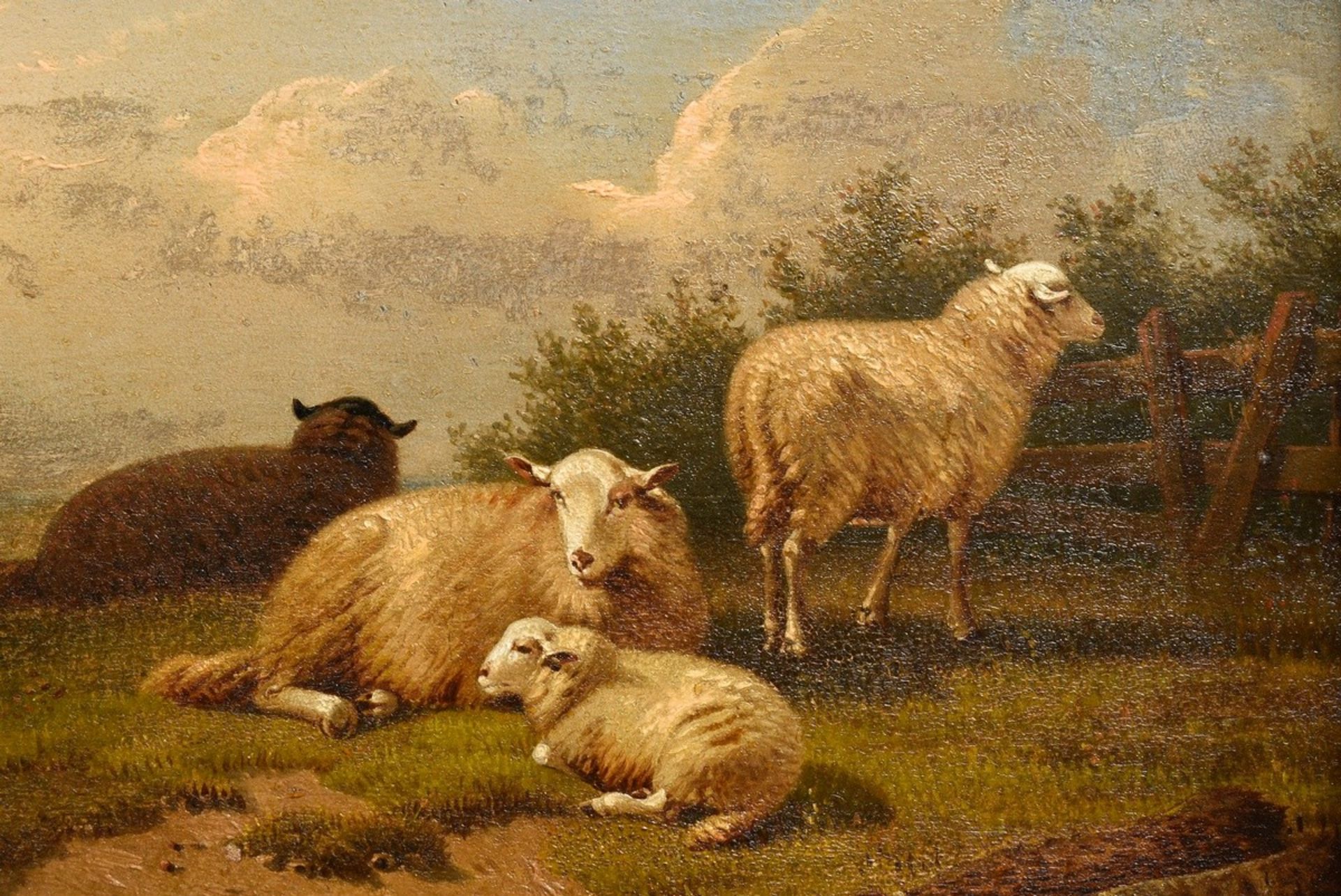 Dieghem, Joseph van (1843-1885) "Resting Sheep", oil/wood, magnificent frame (small defects), 23x16