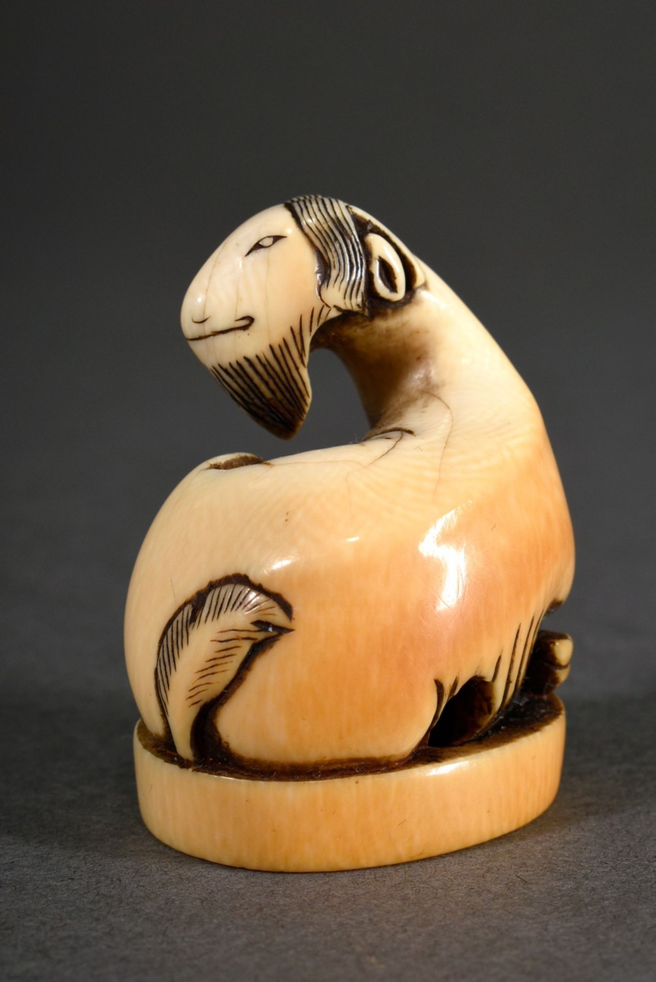 Ivory netsuke "Goat on oval base", Japan, 18th/19th c., beautiful patina, h. 4,3cm, provenance: Nor