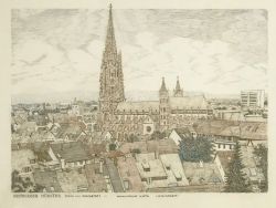 Wilhelm Meinzer, Ansichten von Freiburg