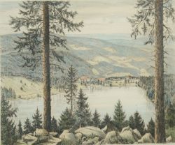 DÖRR Ferdinand "Schwarzwald-See", Radierung, mit Buntstift koloriert, unten rechts signiert, gerahm