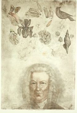 ANDERLE Jiri "preludium", Portrait von Bach, oberhalb Schmetterlinge, Schwertlilie, Lilien, Tulpe, 