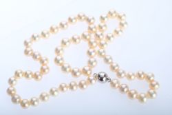 PERLENKETTE Perlen einzeln geknüpft, D um 5mm, L 46cm, Magnetverschluss, perfekt zum einfachen An-u