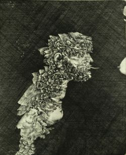 BRUNOVSKY Albin "Ars Amatoris V." von hornartigen Schuppen bedeckte menschliche Büste, schlangenart