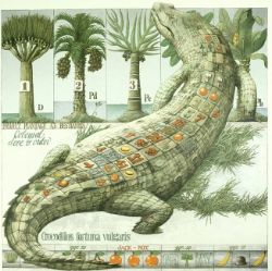 BÖCKMAN Bengt "Crocodilus fortuna vulgaris", riesiges Krokodil mit Spielfeld auf dem Rücken, Schrif