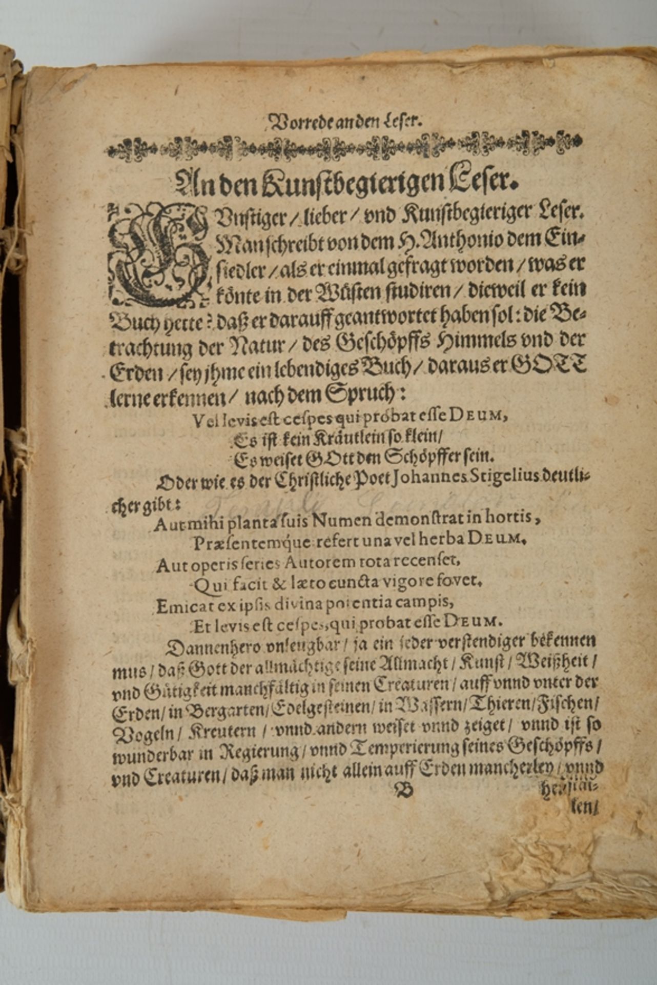 GIAMBATTISTA della Porta "Magiae Naturalis", deutsche Übersetzung, nach 1558, u.a. Wasserschaden - Image 3 of 4