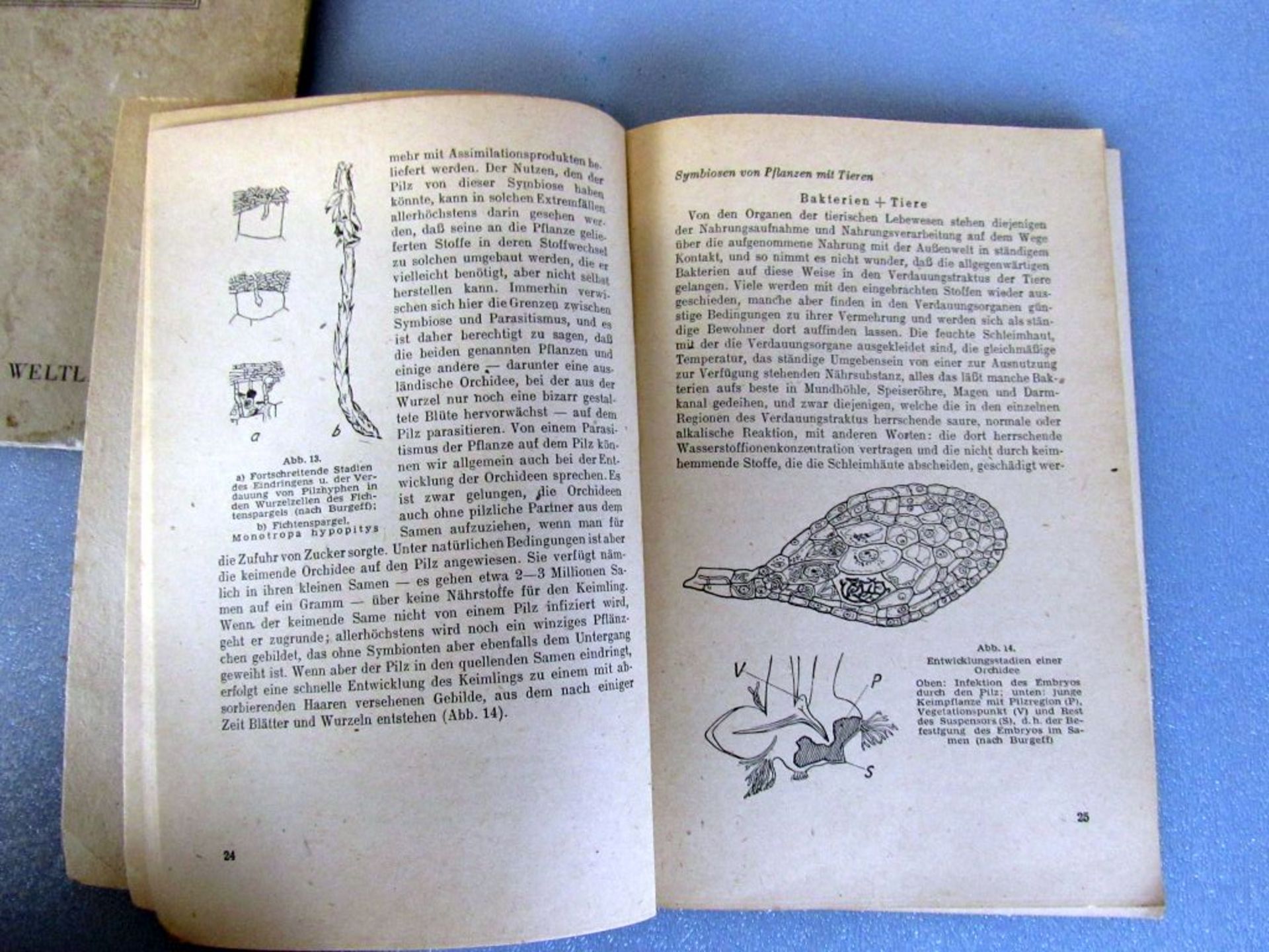 Interessantes Konvolut antike Bücher - Image 29 of 30