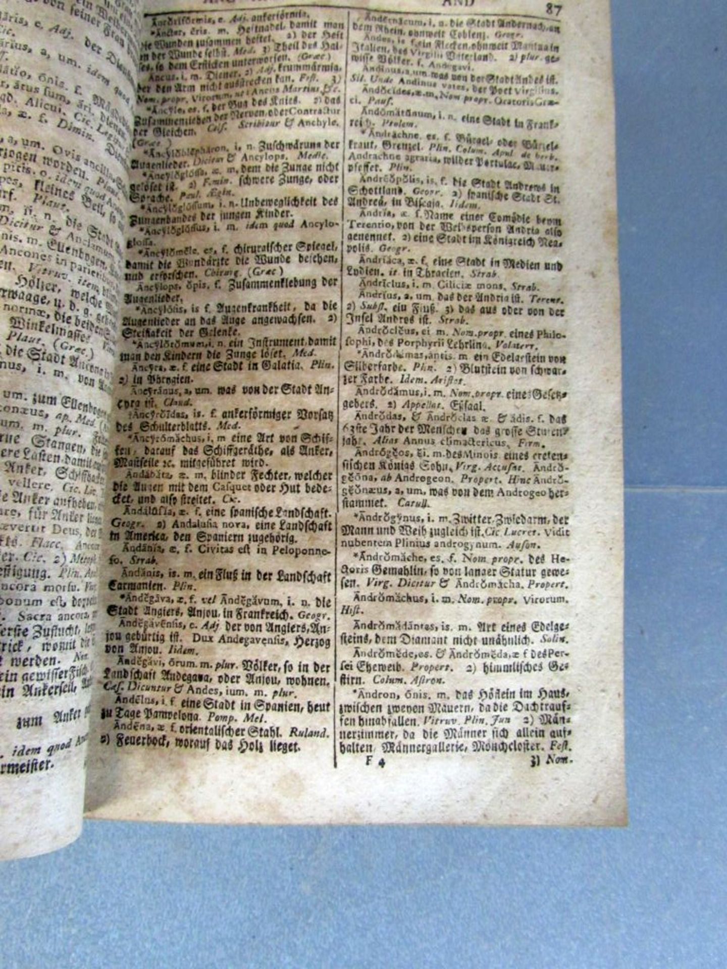 Antikes Buch Lexikon Latinum - Image 5 of 6