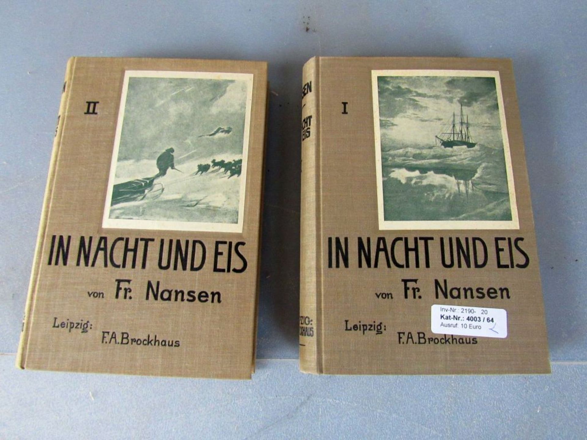2 antike Bücher in Nacht und Eis von