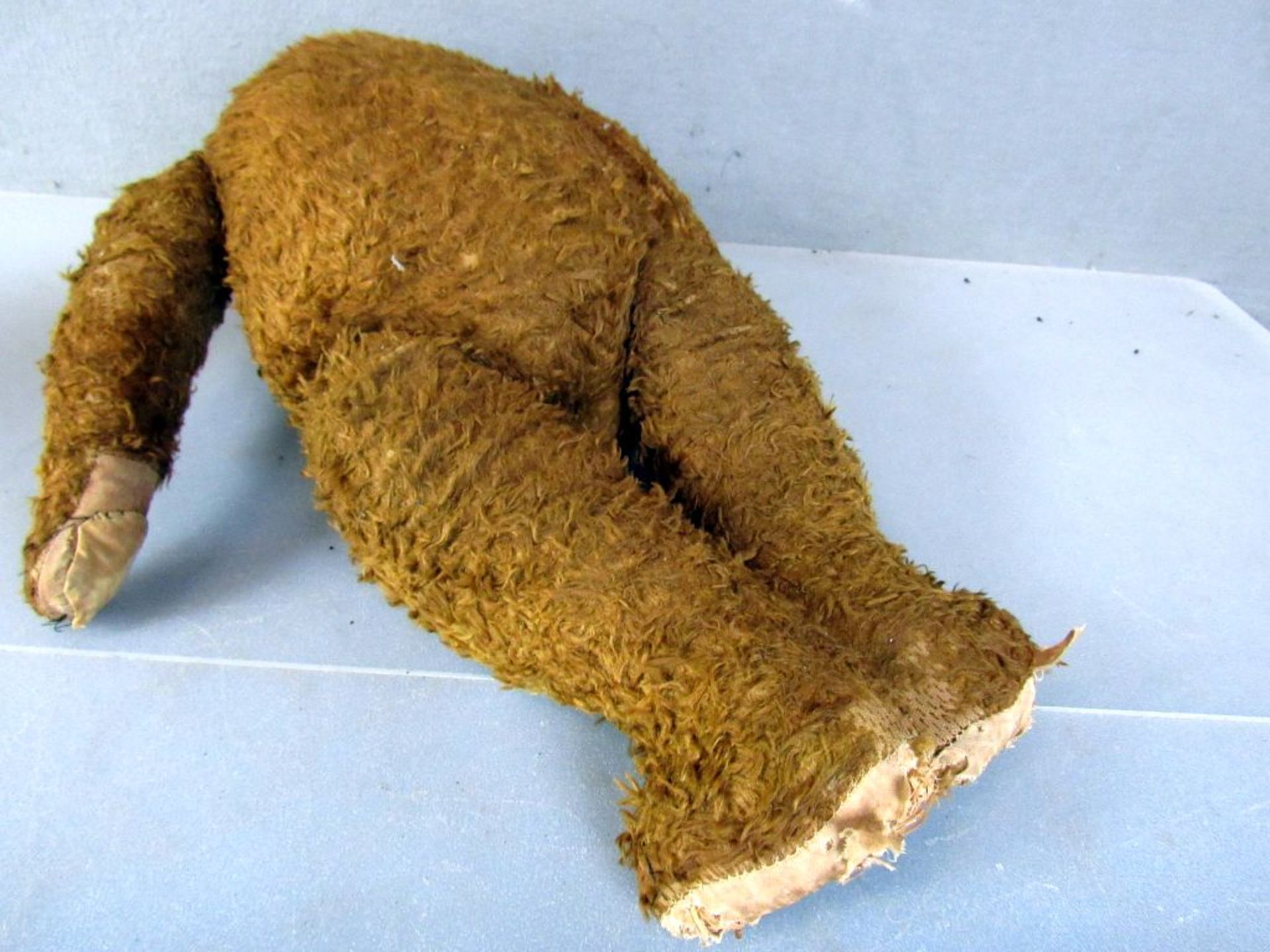 Antiker Teddybär Holzwolle gestopft - Bild 8 aus 8
