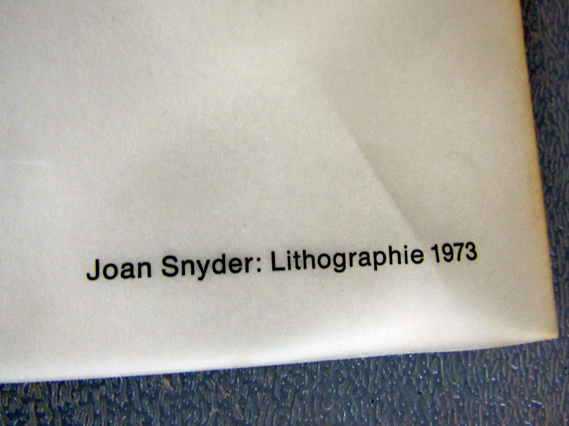 Joan Snyder:Lithographie - Image 7 of 8