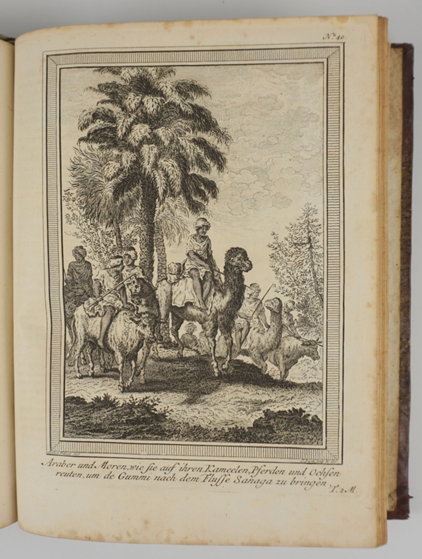 Allgemeine Historie der Reisen zu Wasser und Lande, Zweyter Band, 1748 - Image 6 of 6