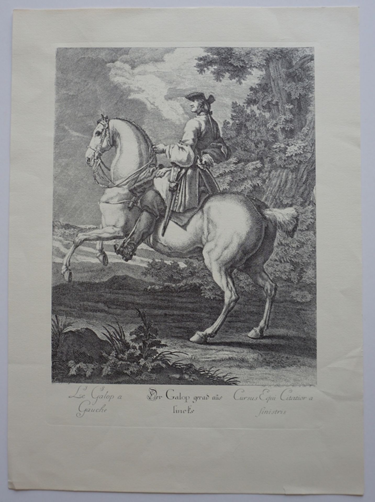 Johann Elias Ridinger (1685-1767), "Der Galop nach links", Kupferstich