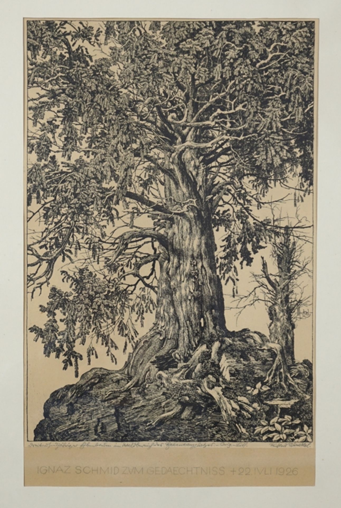 Richard Winckel (1870, Berleburg - 1941, Magdeburg), "Dreitausendjähriger Eibenbaum / Hexentanzplat