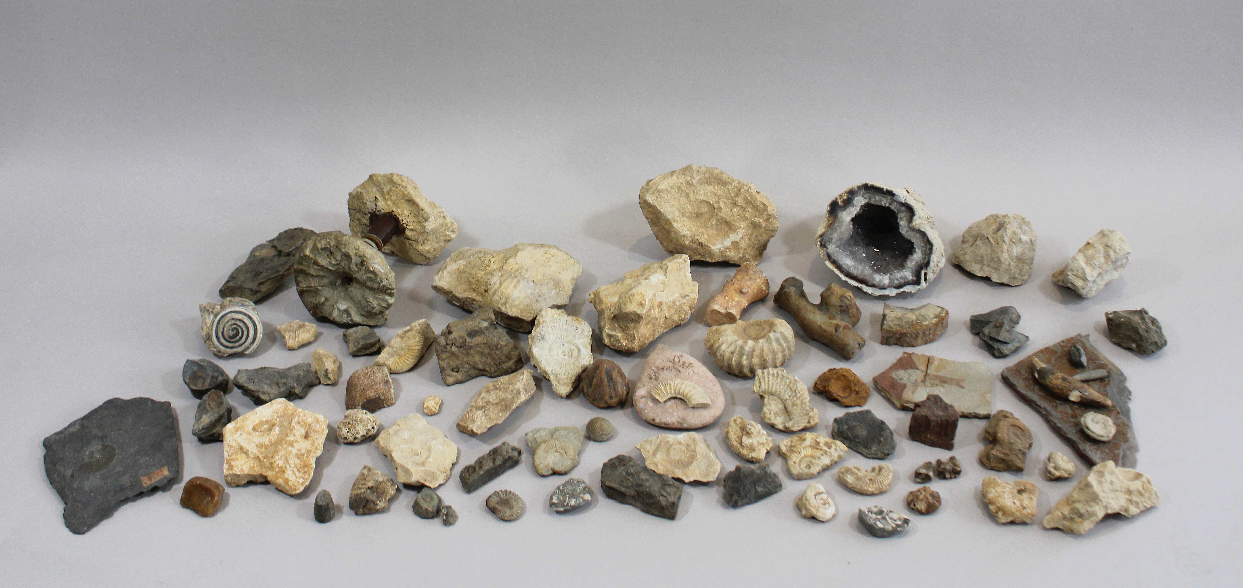 Versteinerung und Mineralien 46-tlg., unterschiedliche Herkunft und Größe. Guter, altersbedingter