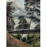 Hugo Darnaut (österreichisch, 1850 - 1937), Landschaft, Öl auf Leinwand, unten rechts bezeichnet, L