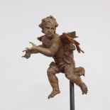 Geflügelter Putto