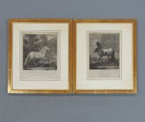 RIDINGER, Johann Elias: Tyger Pferd