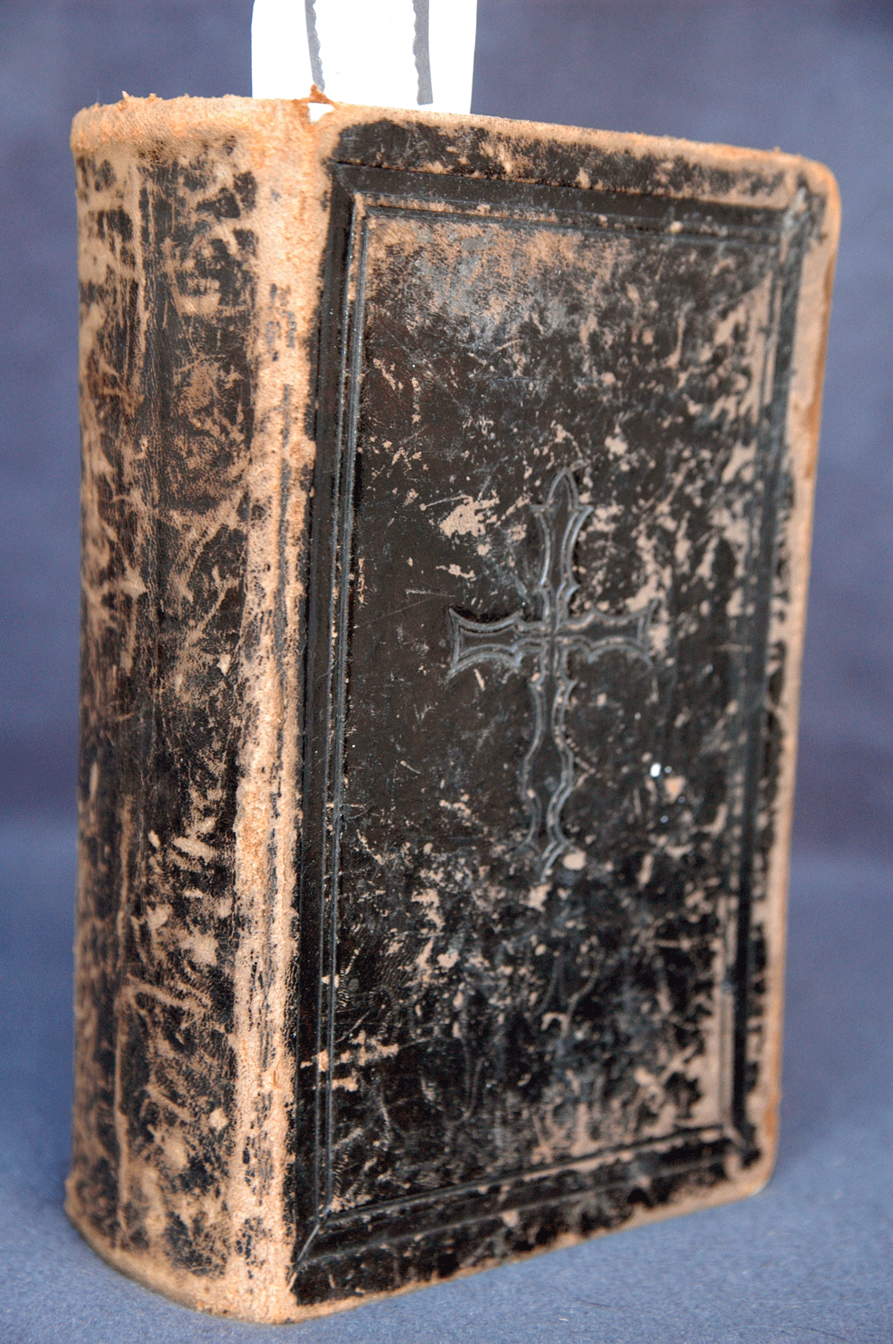 Luther, Martin, Die Bibel oder die ganze Heilige Schrift Altes und Neues Testament, Halle 1908,