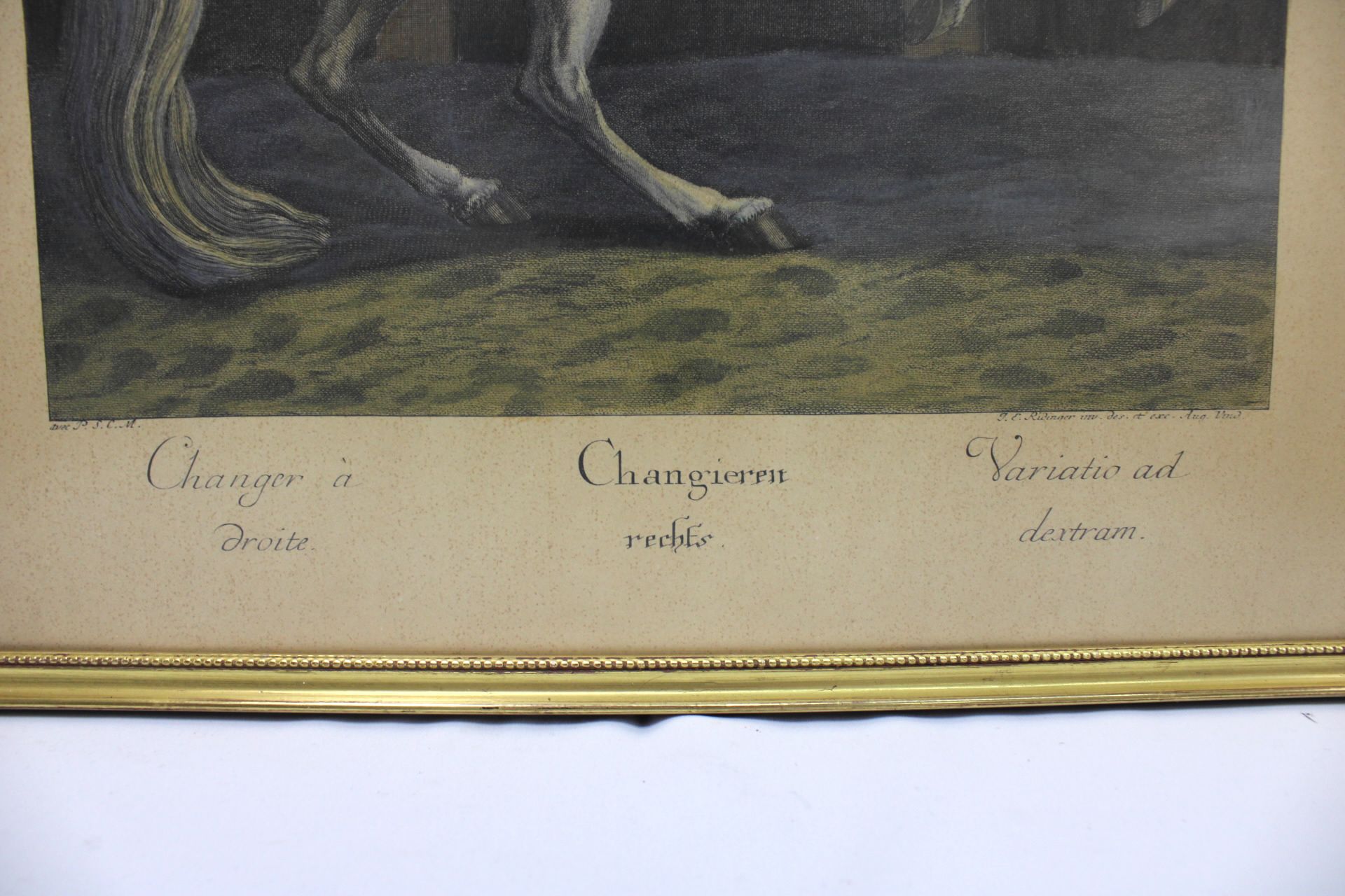 Druckgrafik - Reitschule Changieren, Johann Elias Ridinger (1698-1767) - Image 3 of 3