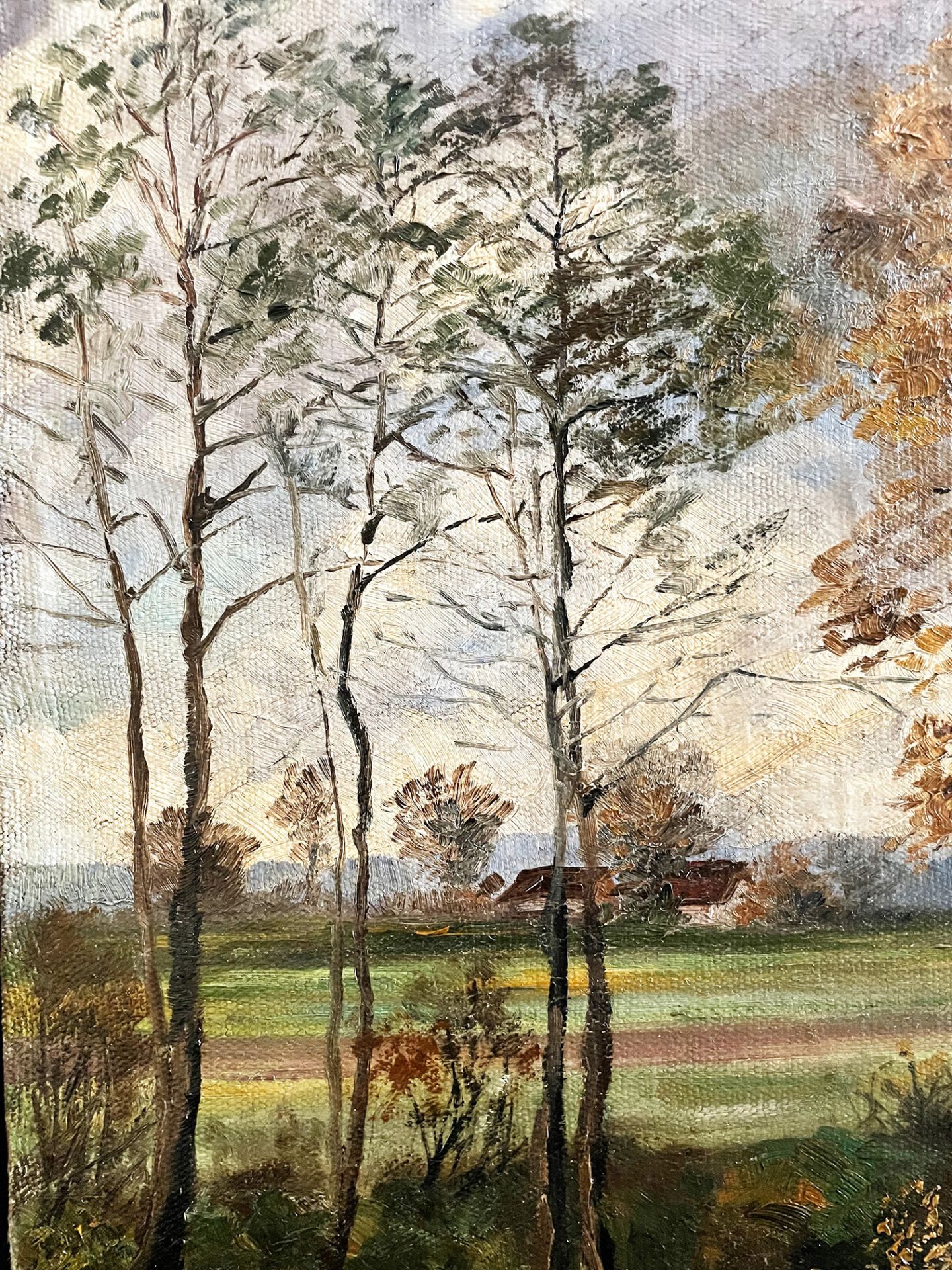 A. Wild, Landschaft mit Bäumen in herbstlicher Stimmung, signiert, Öl/Lwd. 70 x 102 cm. - Image 6 of 6