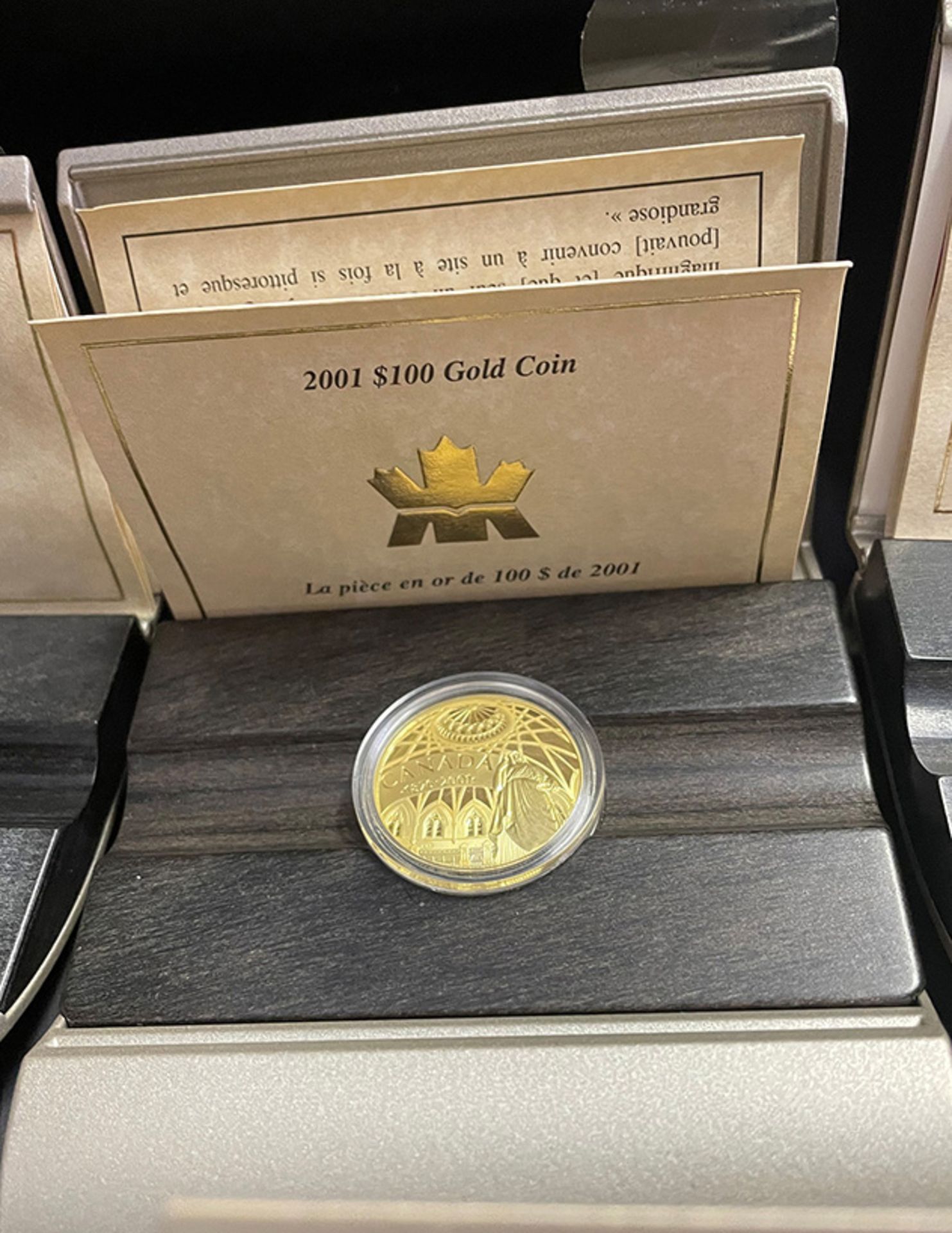Konvolut kanadische Gold-Dollars, Canada Gold, 4 x 200 Dollar und 5 x 100 Dollar: 1 x 2001 - Image 9 of 14