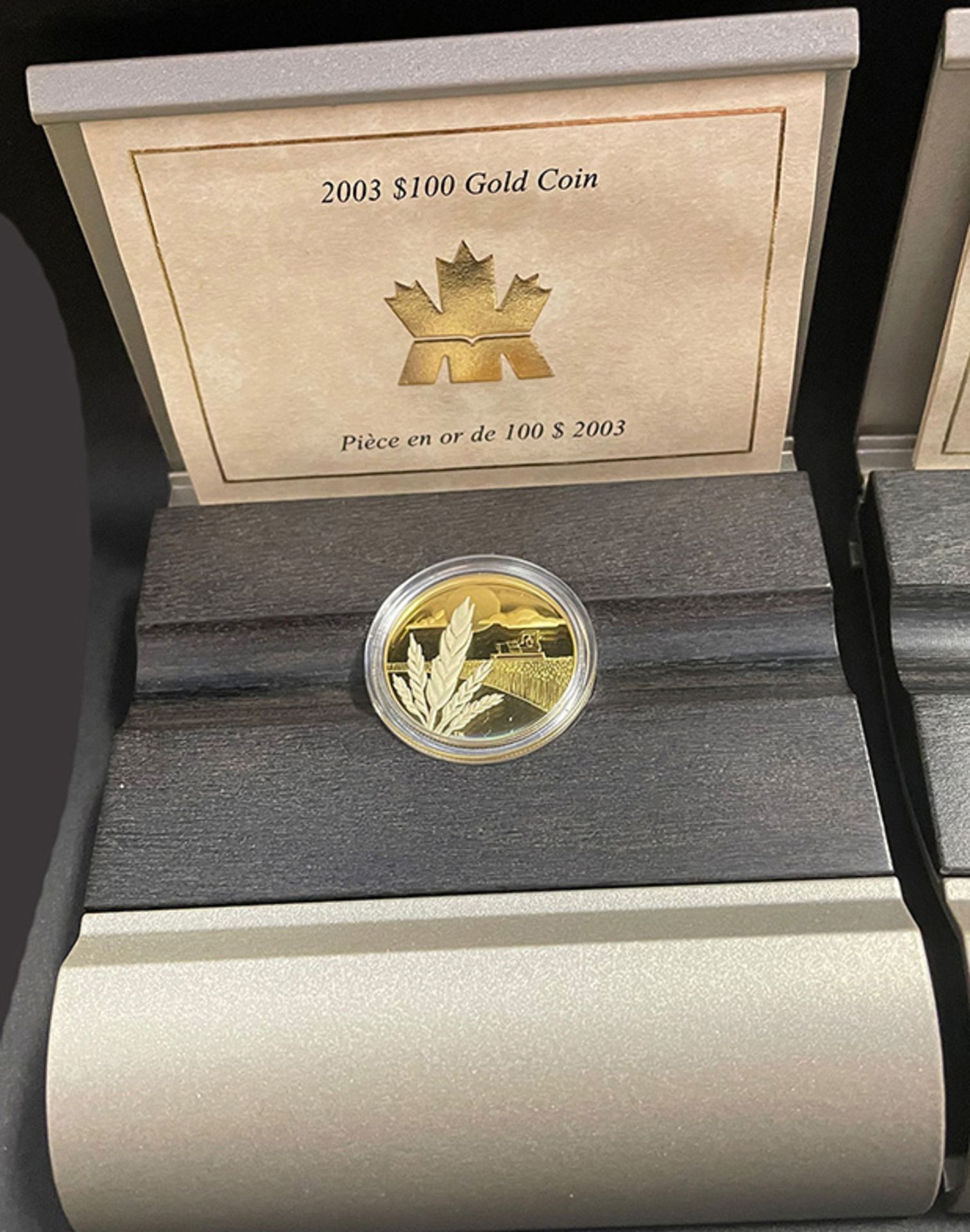 Konvolut kanadische Gold-Dollars, Canada Gold, 4 x 200 Dollar und 5 x 100 Dollar: 1 x 2001 - Image 6 of 14