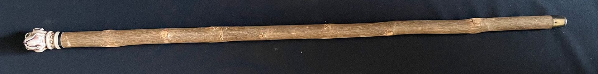 Gehstock, Holz, mit Bulldoggenkopf, Kunststoff, Altersspuren, 92 cm, Kopf 5,5 cm - Image 4 of 4