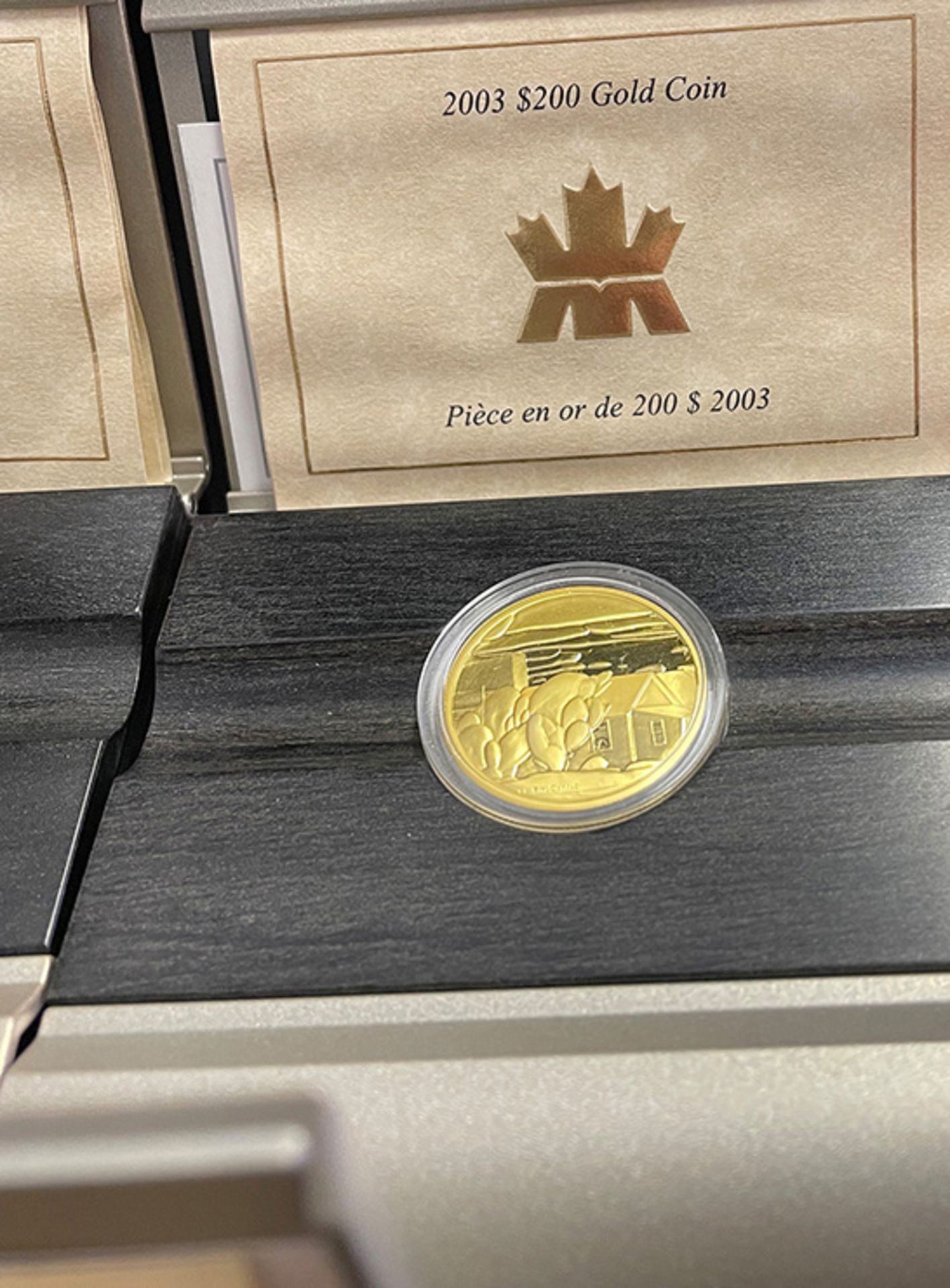 Konvolut kanadische Gold-Dollars, Canada Gold, 4 x 200 Dollar und 5 x 100 Dollar: 1 x 2001 - Image 10 of 14