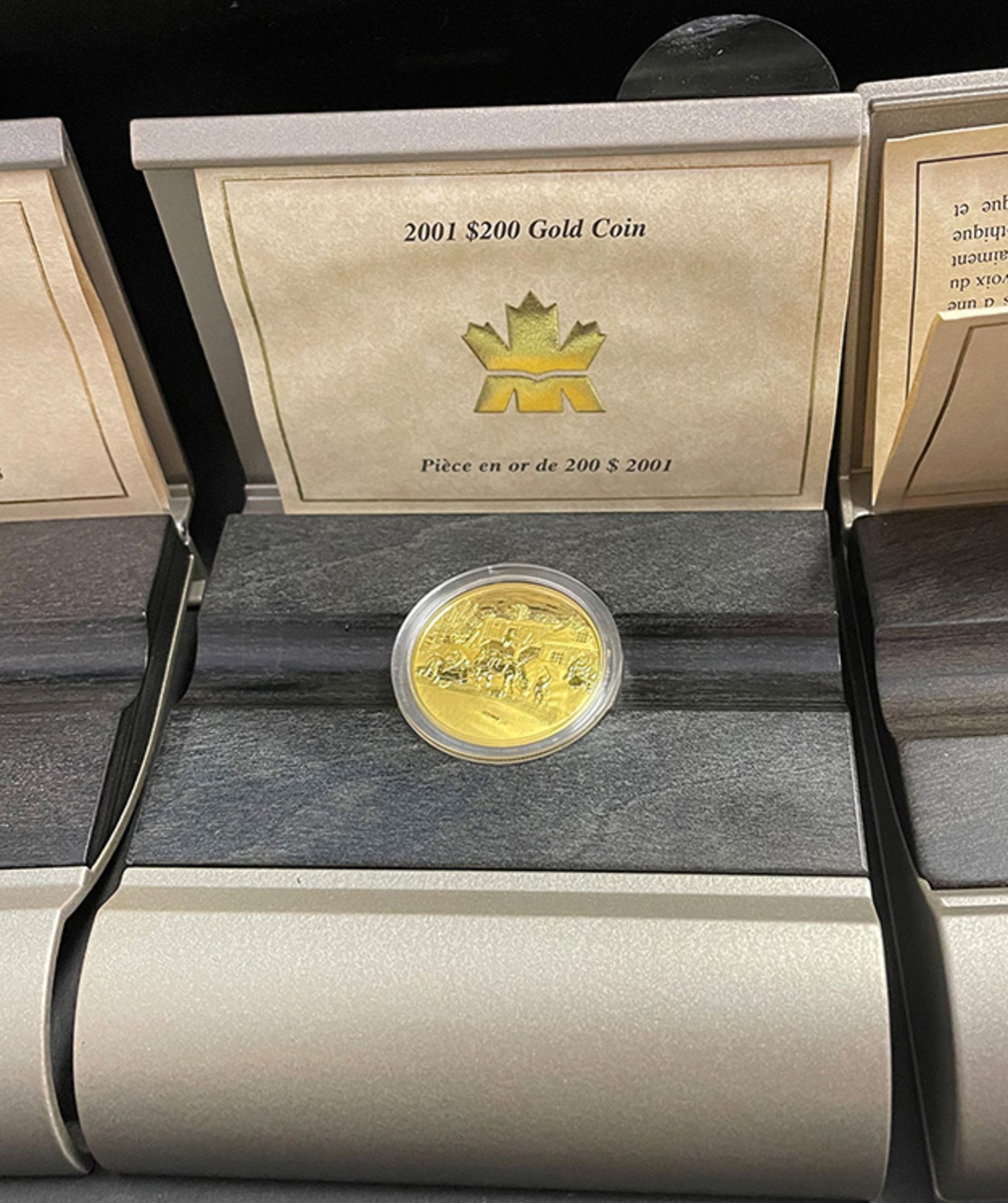 Konvolut kanadische Gold-Dollars, Canada Gold, 4 x 200 Dollar und 5 x 100 Dollar: 1 x 2001 - Image 5 of 14