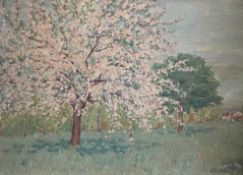 Unbekannter Künstler, um 1900. Blühender Obstbaum auf Wiese, Ol/Leinwand, aufgez., 36 x 51 cm