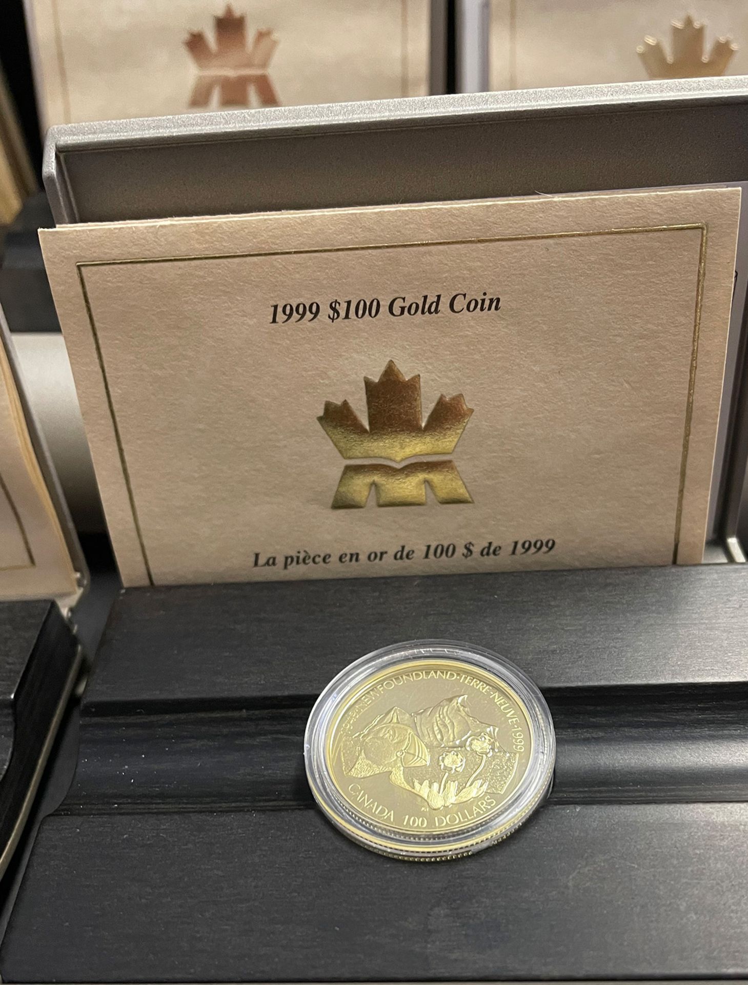 Konvolut kanadische Gold-Dollars, Canada Gold, 4 x 200 Dollar und 5 x 100 Dollar: 1 x 2001 - Image 14 of 14