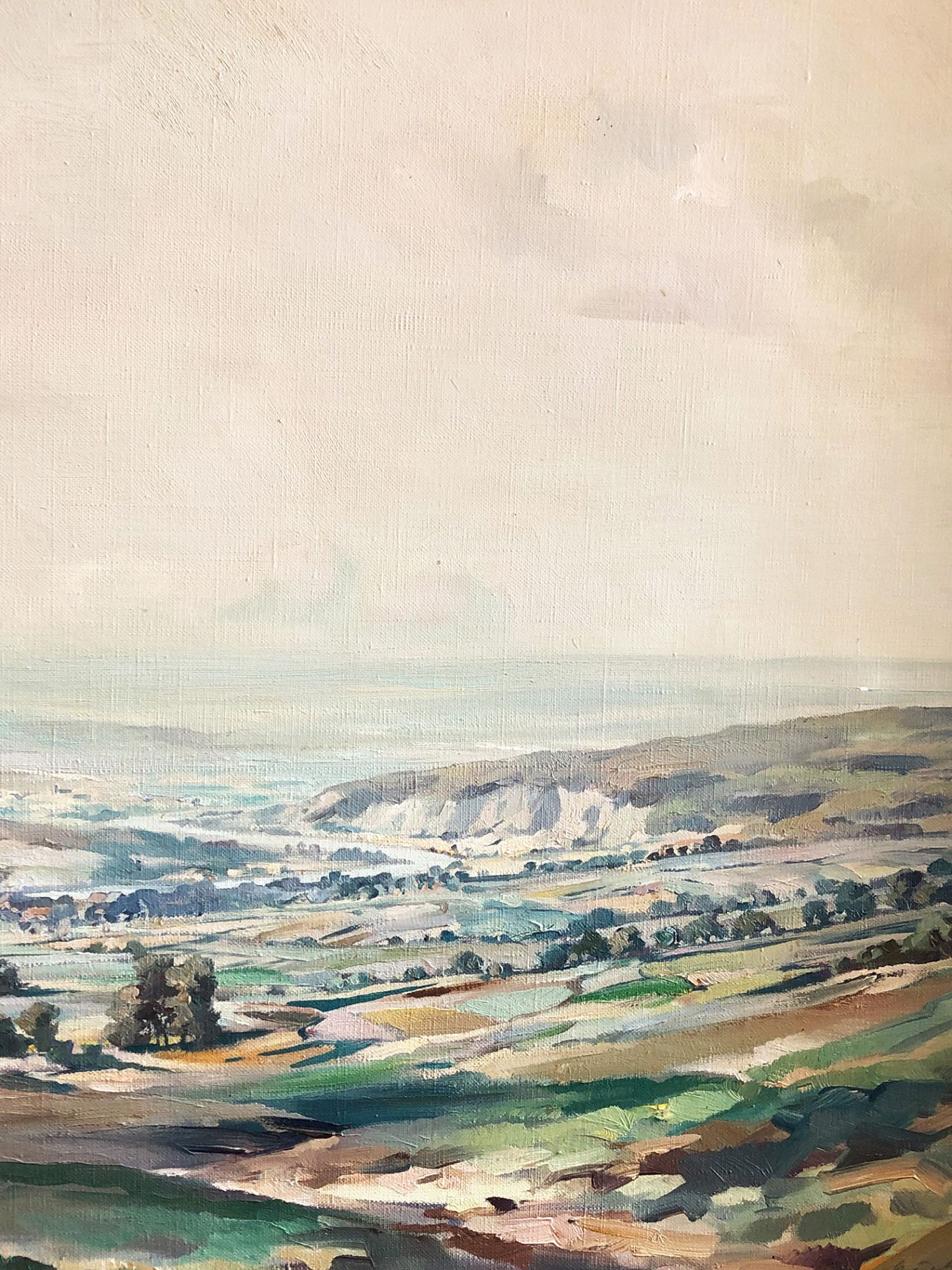 Richter (fränkischer Künstler), Mainlandschaft mit Blick über Dörfer und Weinberge, signiert, Öl/ - Bild 3 aus 4