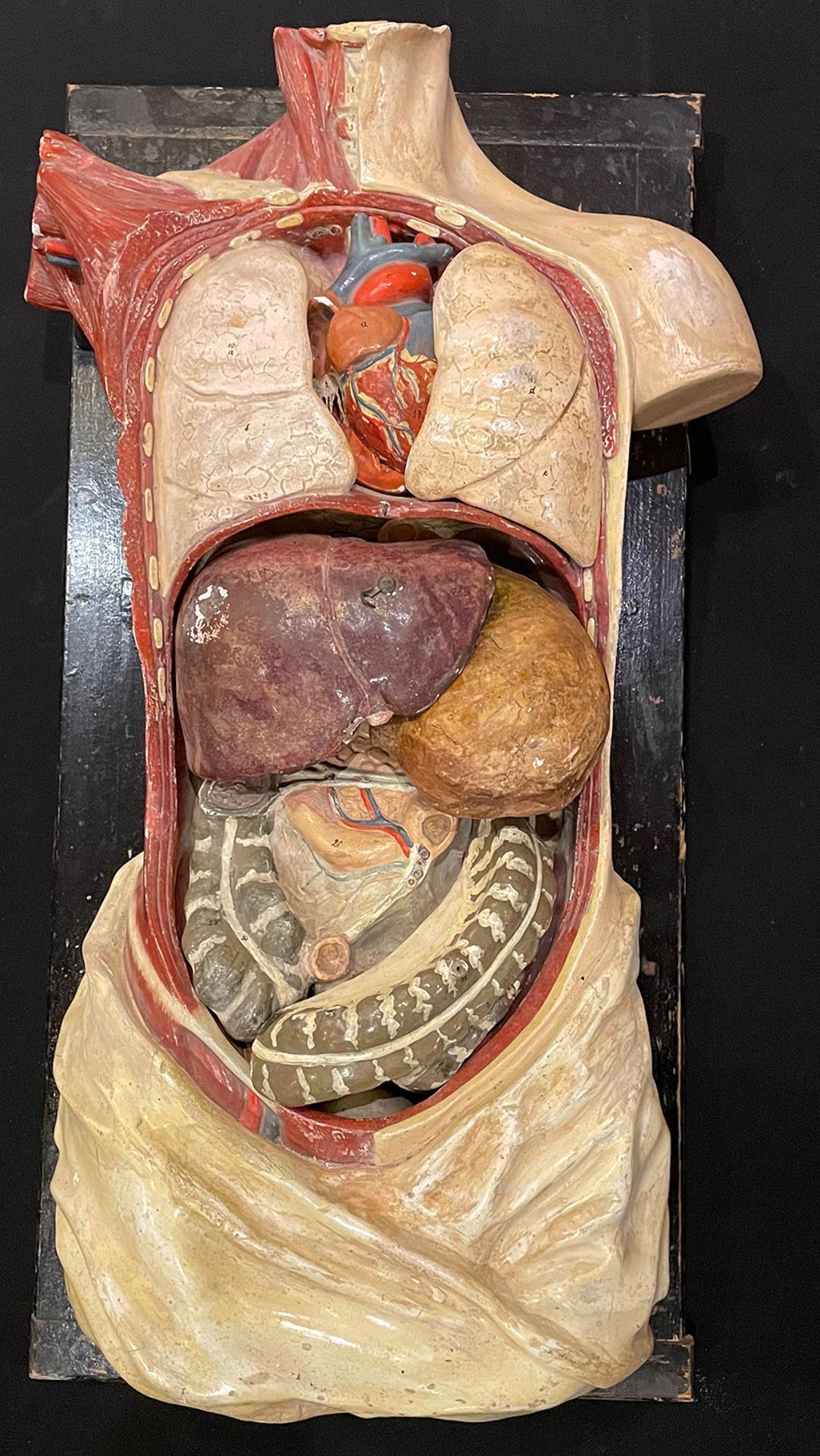 Konvolut aus dem Nachlass eines Medizinprofessors: 1 x Lehrskelett, Mensch, Höhe 1,87 cm; 1 x - Image 9 of 12