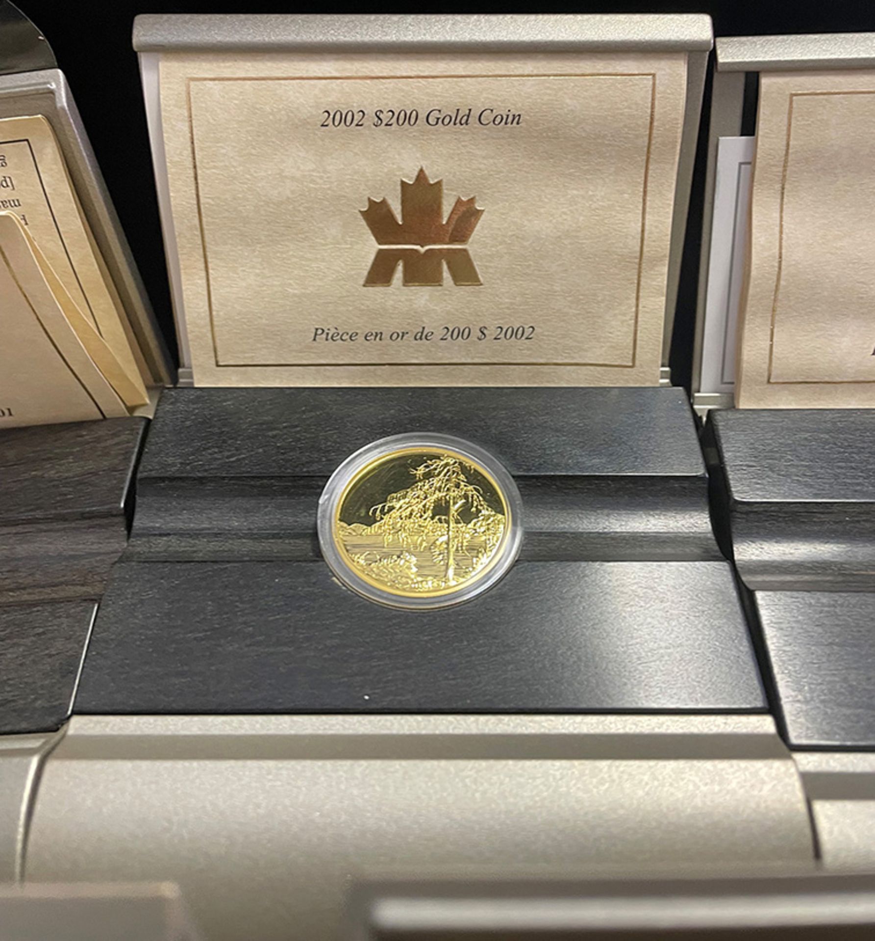 Konvolut kanadische Gold-Dollars, Canada Gold, 4 x 200 Dollar und 5 x 100 Dollar: 1 x 2001 - Image 4 of 14