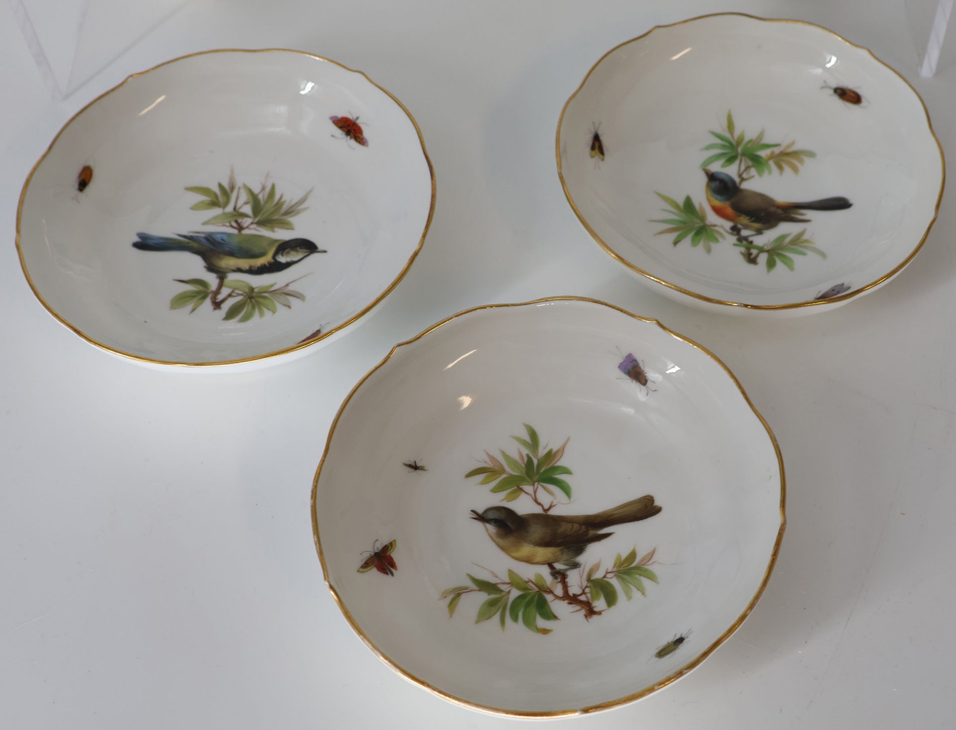 Kaffeeservice Porzellan, Meissen, Goldrand, feine Malerei mit Vögeln und Insekten, Schwertermarke - Bild 8 aus 8