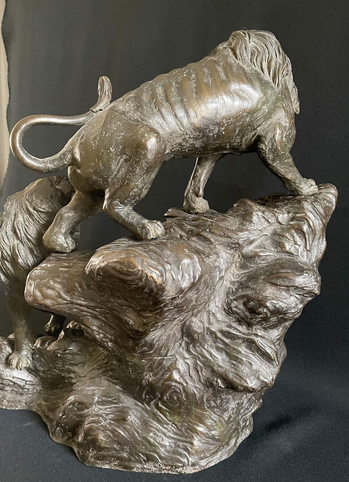 Zwei Löwen auf einer Anhöhe, Bronze, um 1900, bei einem Löwen ist die Schwanzspitze gebrochen, 43 - Image 5 of 5