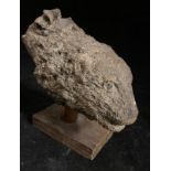 Löwenkopf, Sandstein, verwittert, Reste vom Stoff einer weiteren Figur am oberen Hals, Höhe ca. 10