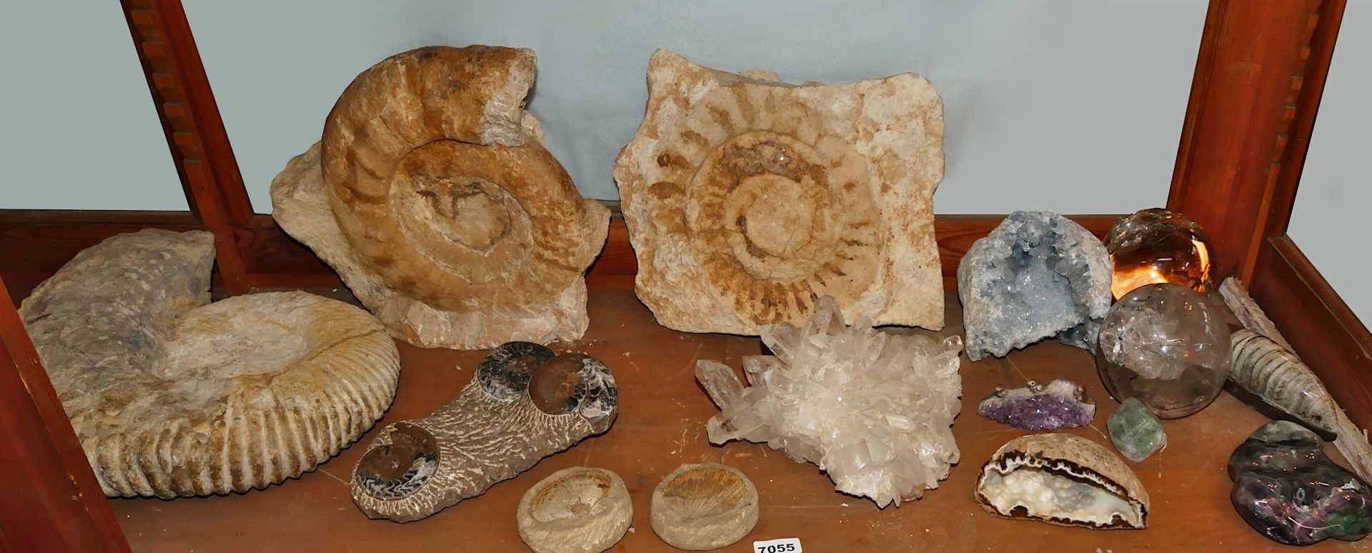 1 Sammlung Mineralien und Fossilien z.B. wohl Bergkristall ca. 16x29x28cm, Amethyst ca. L 13cm, Coel