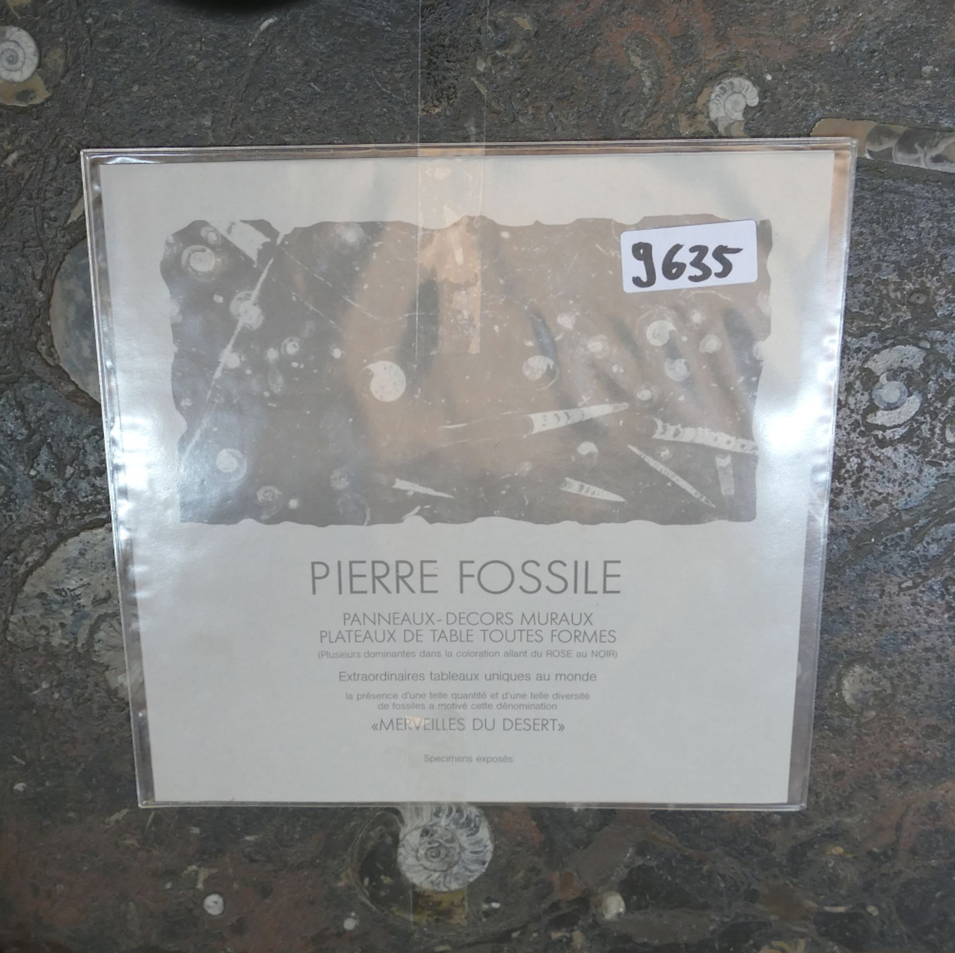 1 Couchtisch Heinz LILIENTHAL-Werkstätten "Pierre fossile: Merveilles du dessert" von 2014, num. 412 - Image 3 of 3