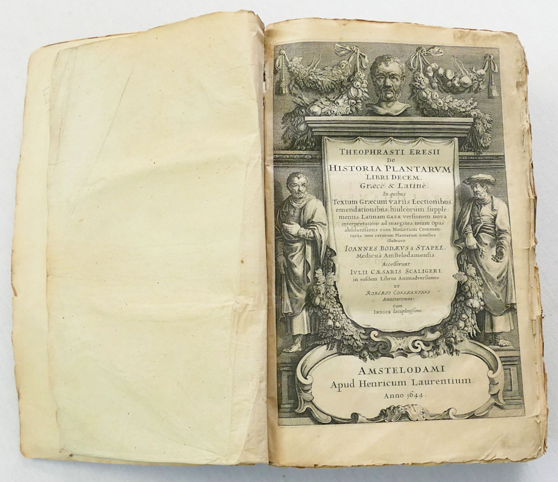1 Buch "Theophrasti Eresii De historia plantarum" von Johannes BODAEUS, Amsterdam 1644, ca. 1187 Sei