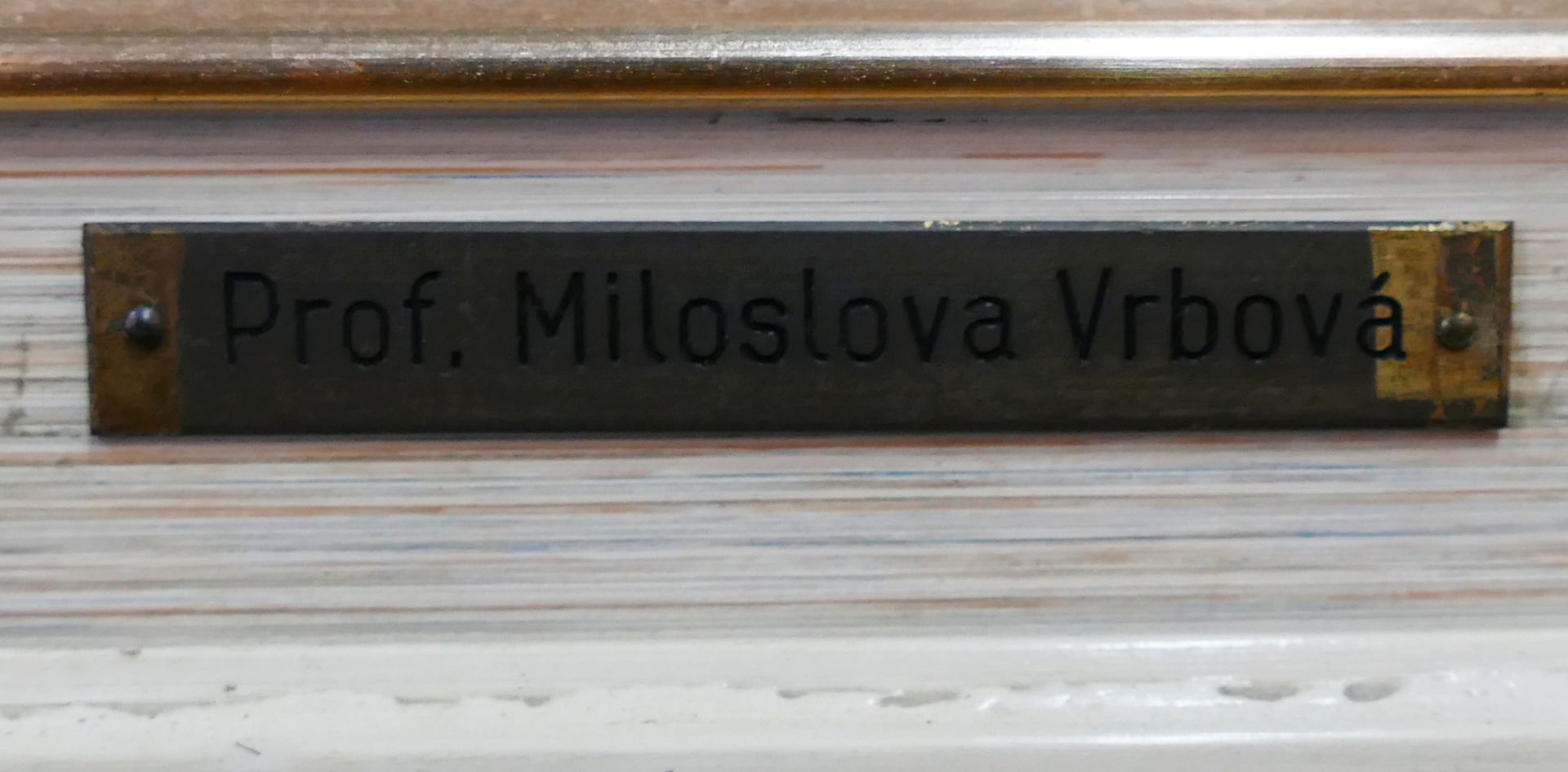 1 Ölgemälde l.u. sign./auf Rahmen bez. Miloslava VRBOVA (wohl M. V.-STEFKOVA 1909 Schinkau-1991 Freu - Image 4 of 5