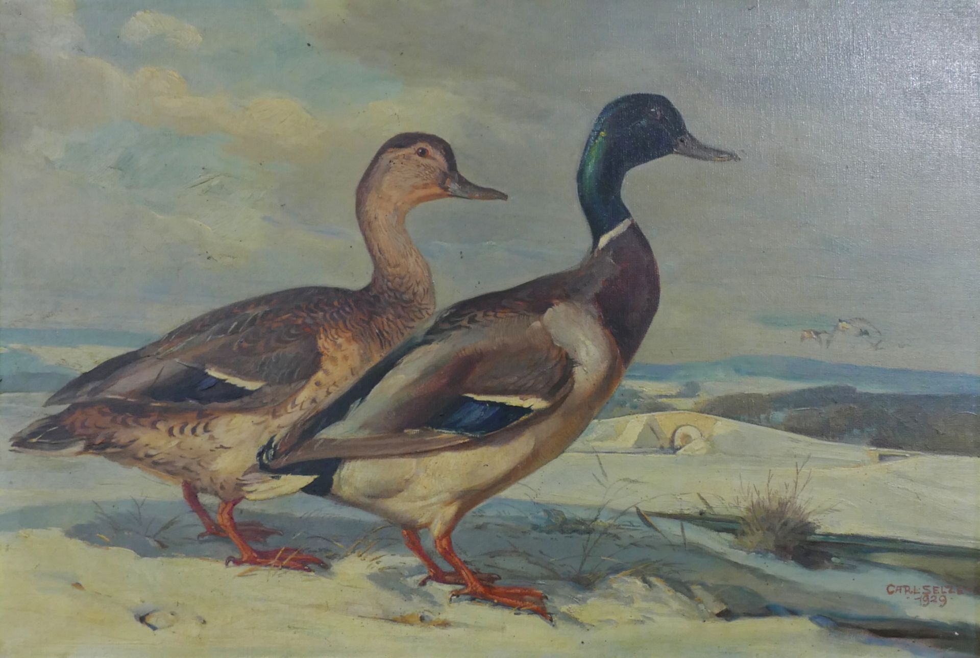 1 Ölgemälde r.u. sign. Carl SELZER (wohl 1872-1939), Prof. Kunstgewerbeschule Nürnberg "Enten auf ve