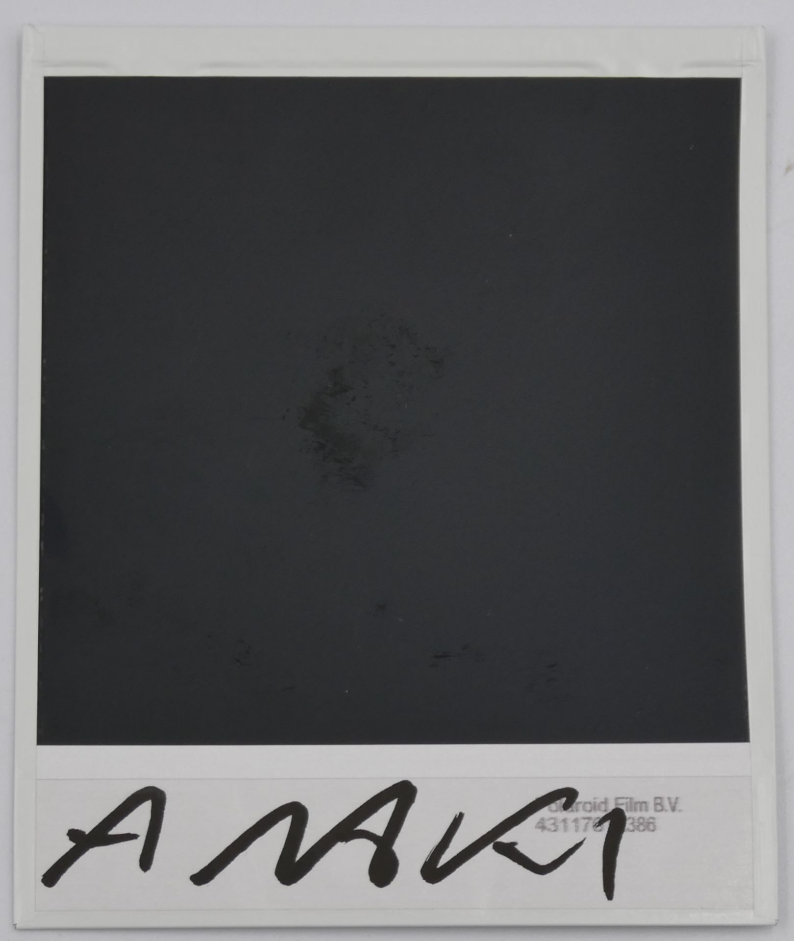 6 Polaroid-Fotographien je handsign. Nobuyoshi ARAKI (wohl *1940 Minowa/Tokio) mit versch. Aktaufnah - Image 2 of 3