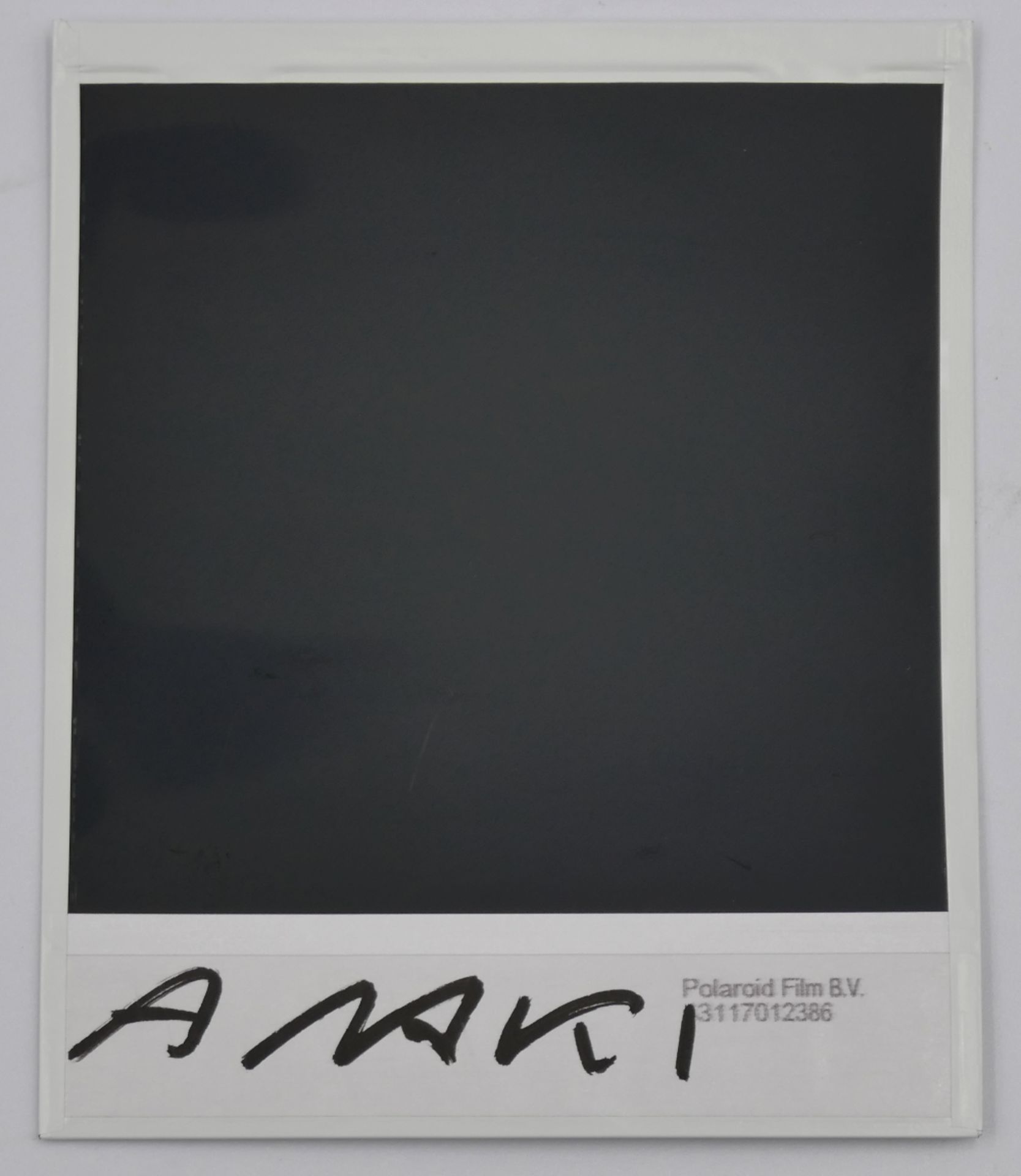 6 Polaroid-Fotographien je handsign. Nobuyoshi ARAKI (wohl *1940 Minowa/Tokio) mit versch. Portrait- - Image 2 of 3