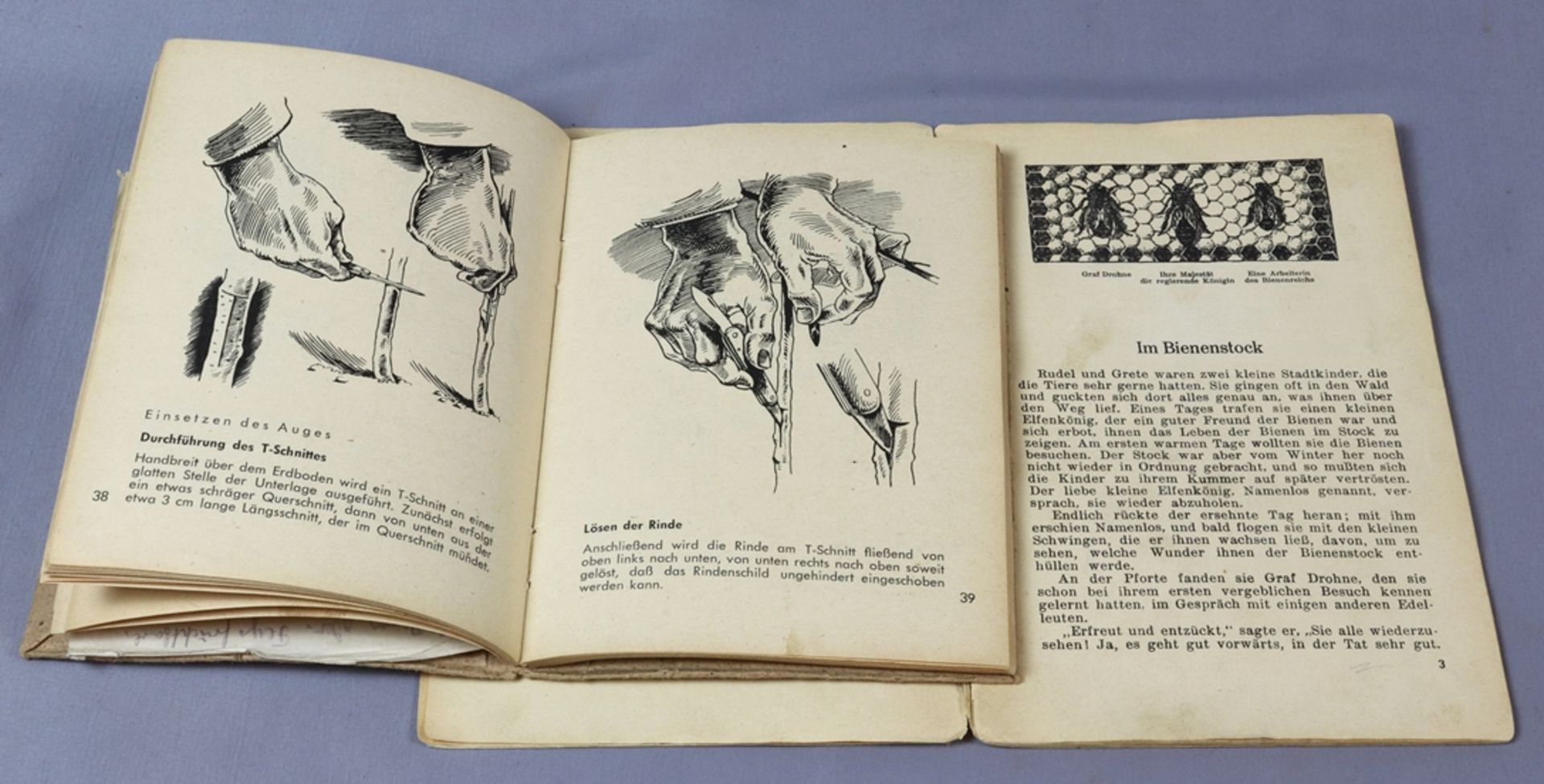 Various books from topics of medicinal herbology, pharmacist's knowledge and horticulture, late 19t - Image 7 of 17