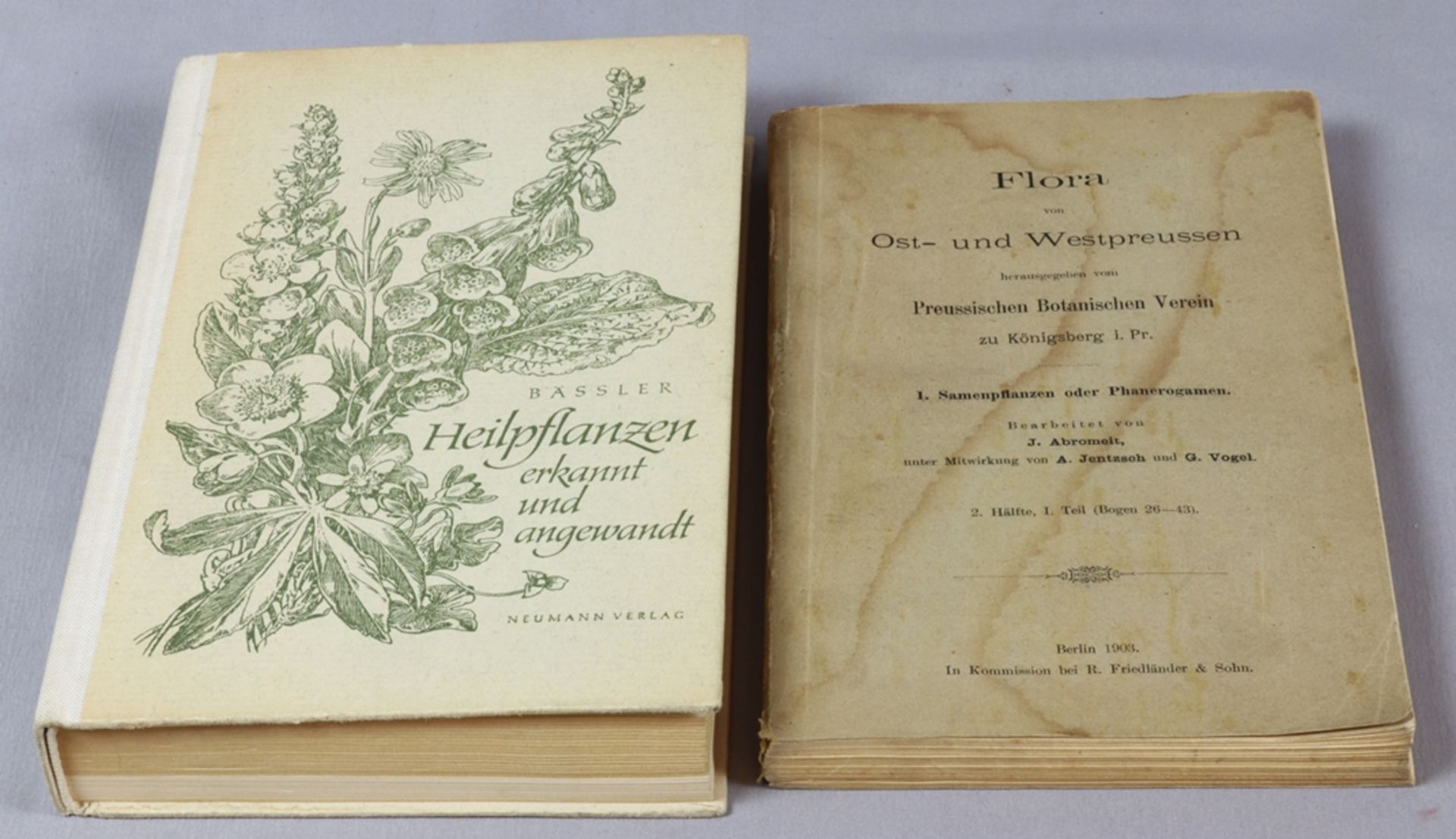Various books from topics of medicinal herbology, pharmacist's knowledge and horticulture, late 19t - Image 16 of 17