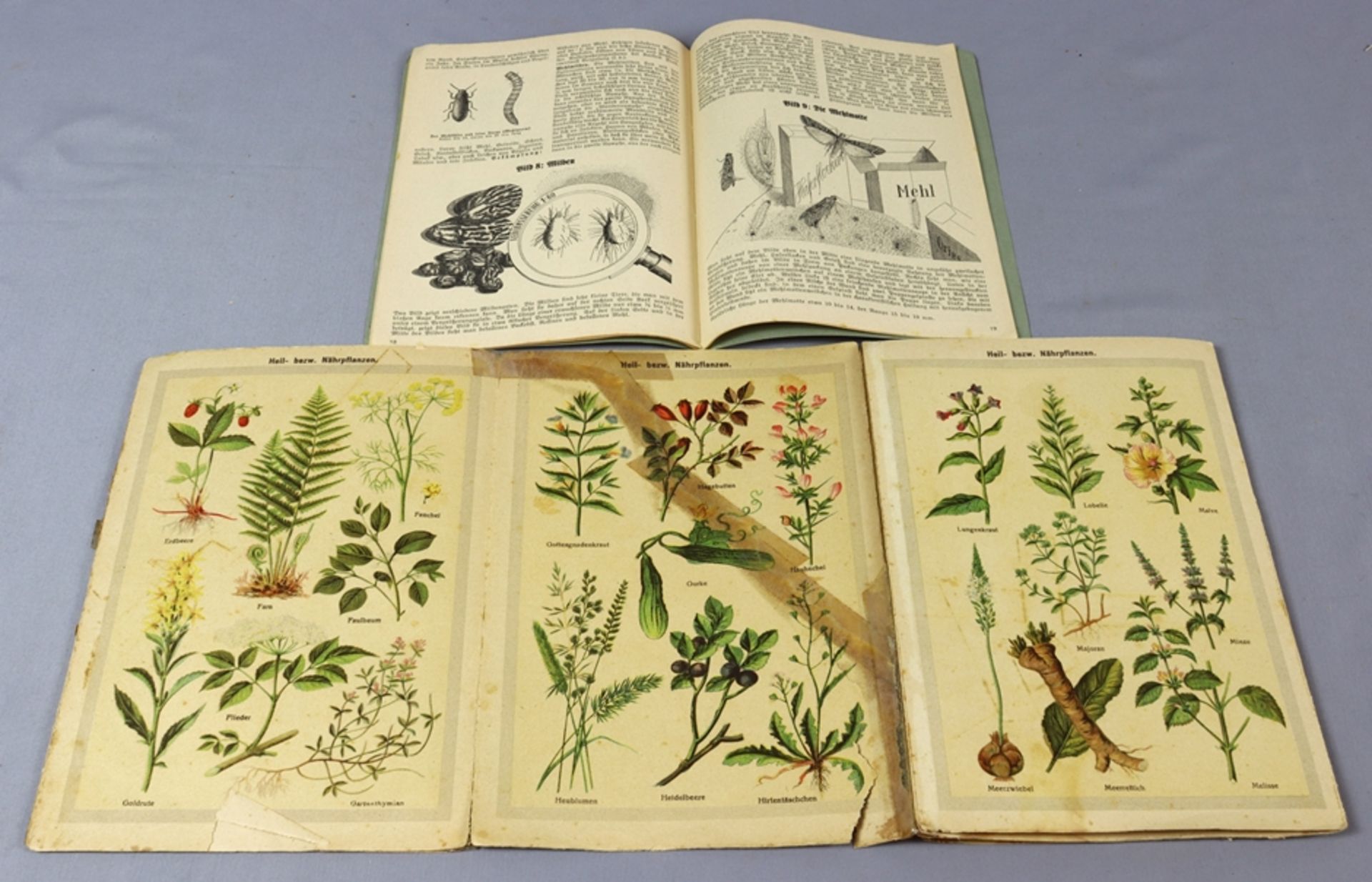 Various books from topics of medicinal herbology, pharmacist's knowledge and horticulture, late 19t - Image 9 of 17