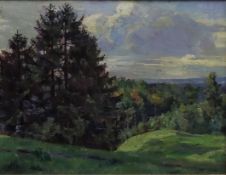 Deutscher Landschaftsmaler des 20Jh., Harzlandschaft