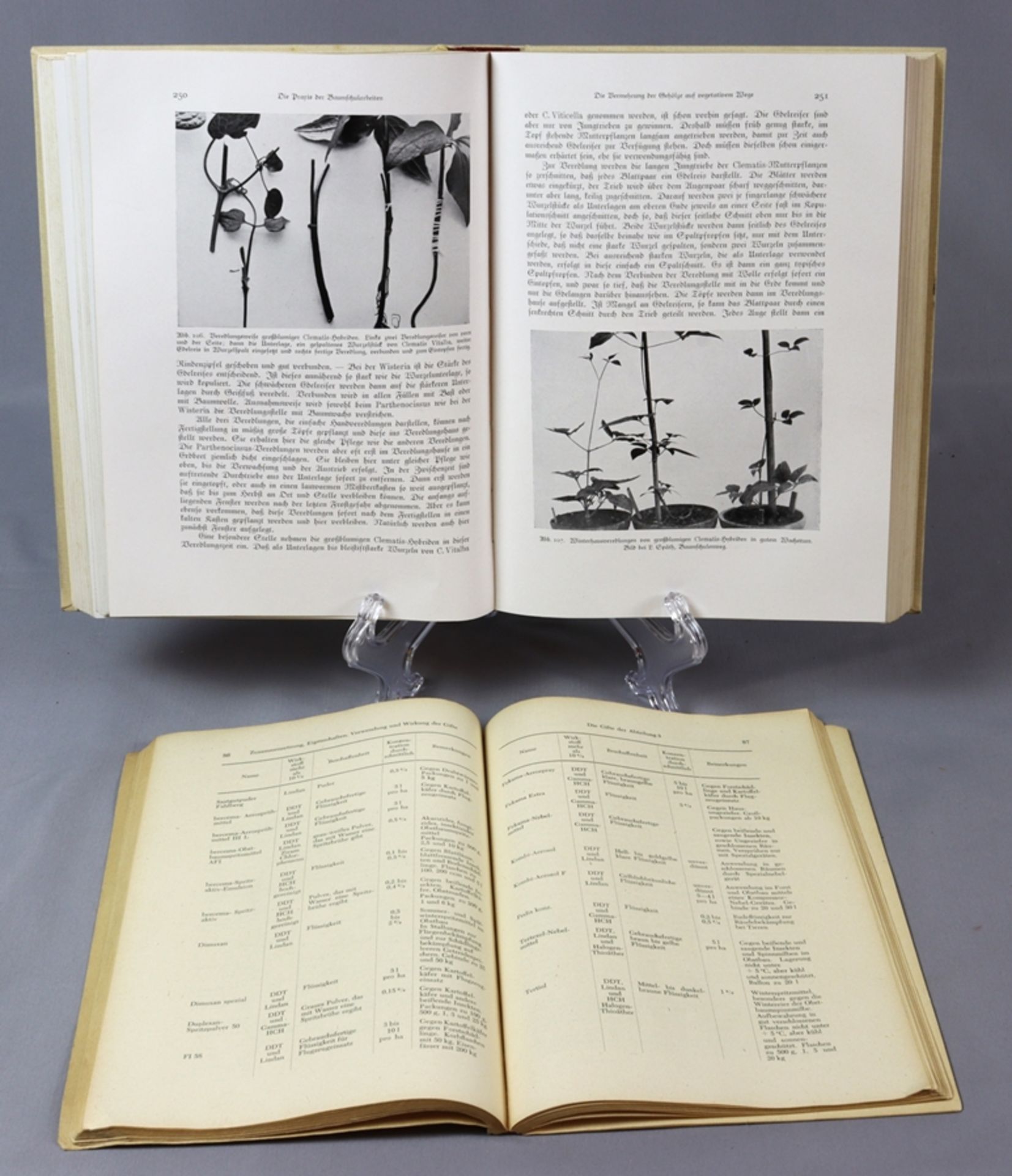 Various books from topics of medicinal herbology, pharmacist's knowledge and horticulture, late 19t - Image 12 of 17